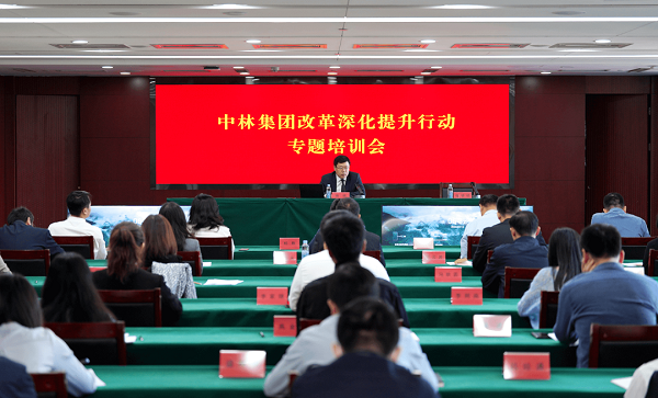 中林集团召开改革深化提升行动专题培训会